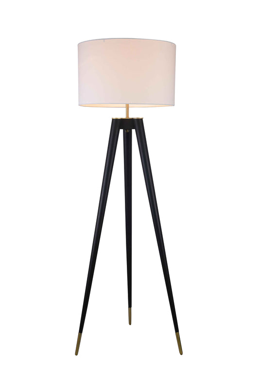 Black Floor Lamp - MFL17X-GD
