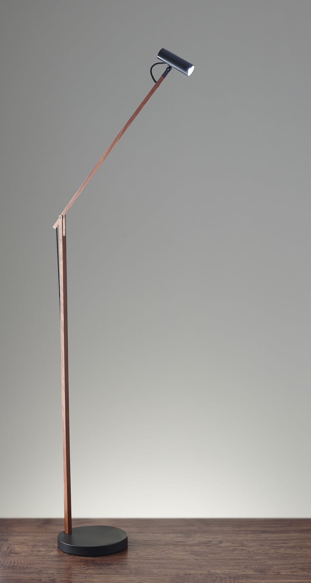 ADS360 Crane LED Floor Lamp