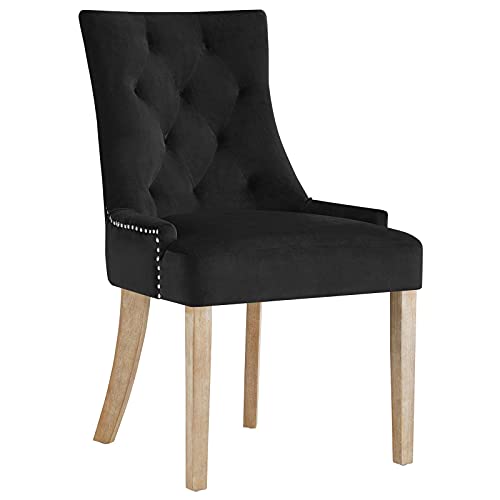 Modway Pose Velvet Polyester Upholstered Tufted Dining Chair with Nailhead Trim, Maroon in Ivory
