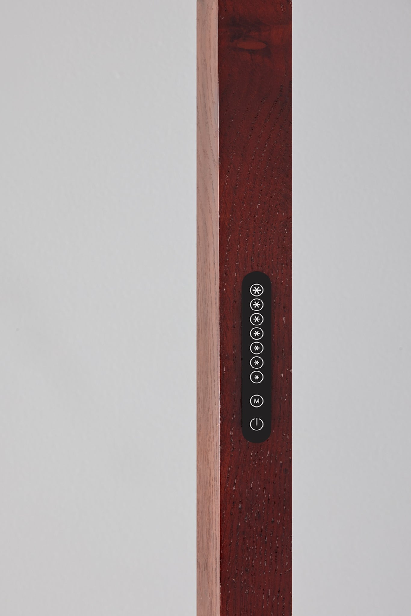 Elliott LED Wall Washer with Smart Switch