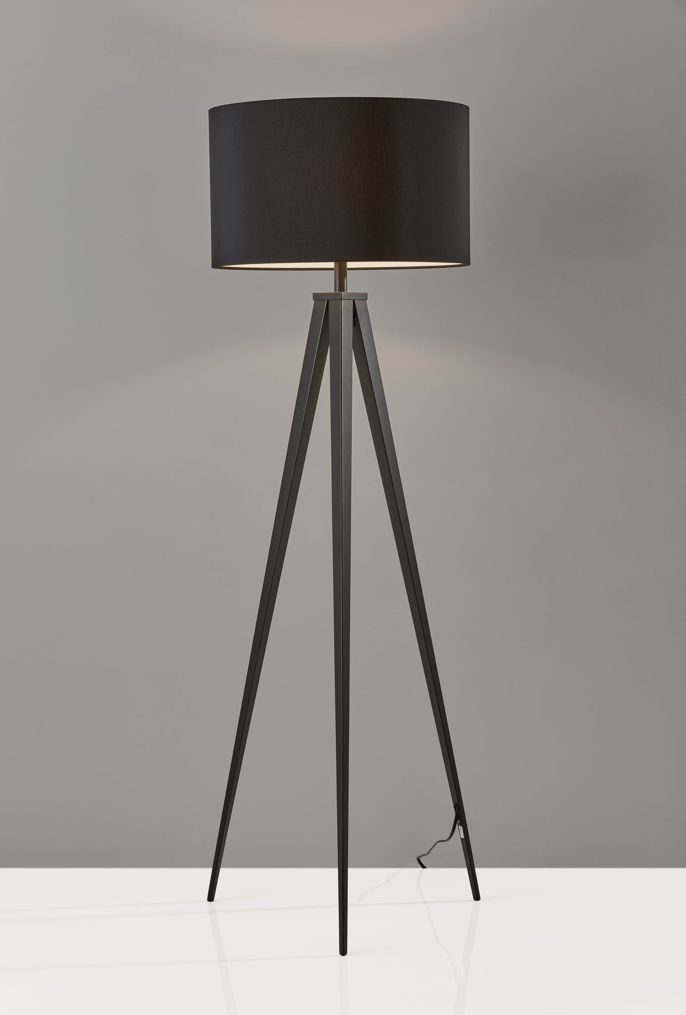 Director Floor Lamp
